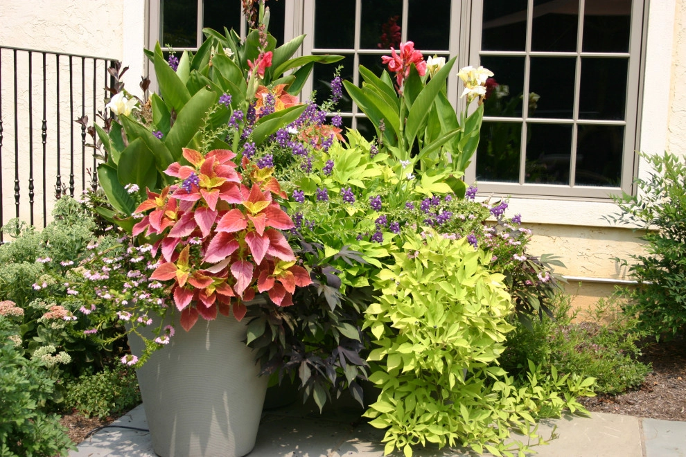Details by Wallace Landscape Associates - Photo 25