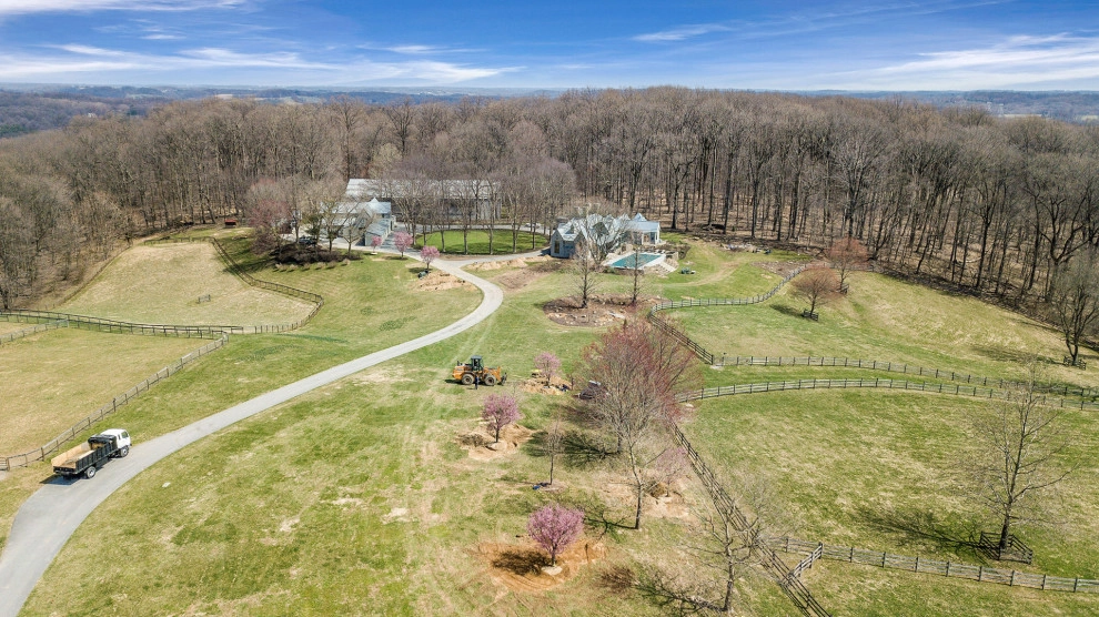 Tree Transplanting by Wallace Landscape Associates - Photo 7
