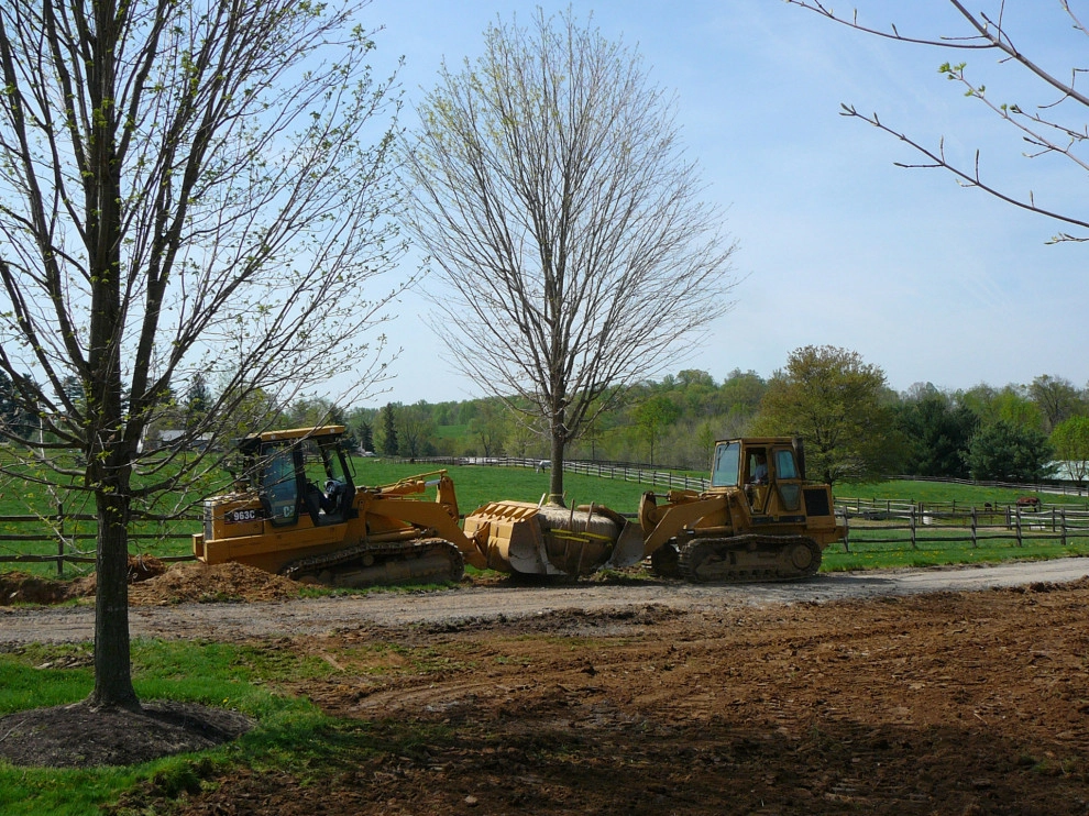 Tree Transplanting by Wallace Landscape Associates - Photo 9