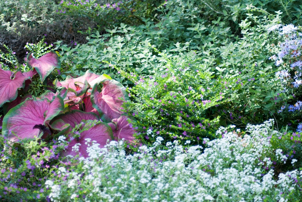 Wanderback Design - Photo 12