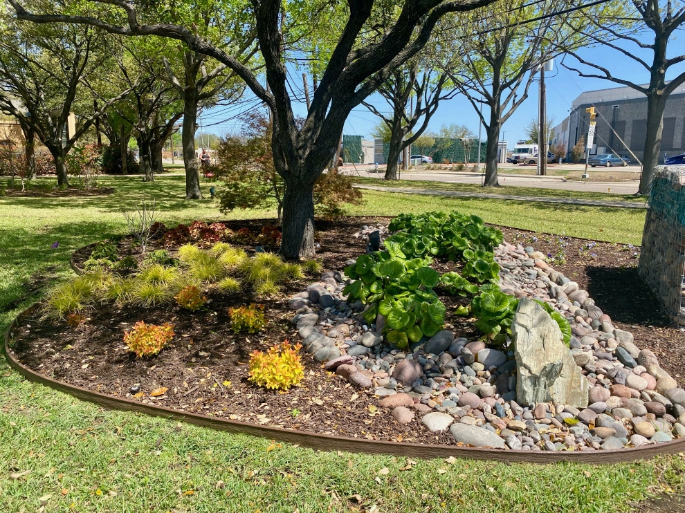 Richardson Texas landscape redo by Wanderback Design - Photo 2