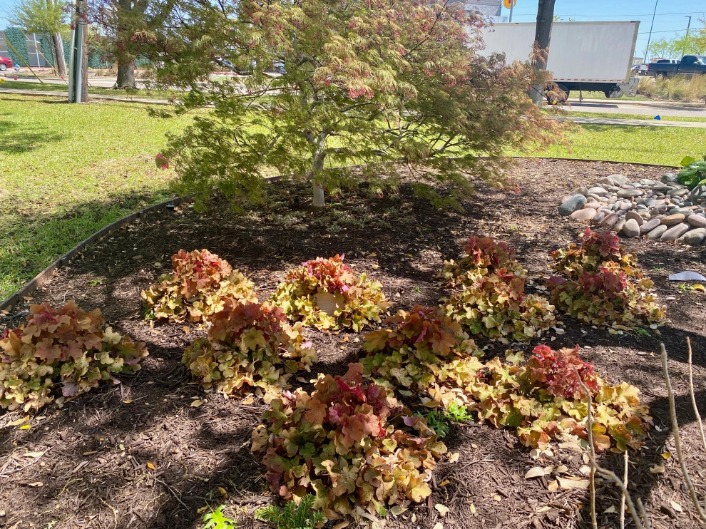 Richardson Texas landscape redo by Wanderback Design - Photo 3