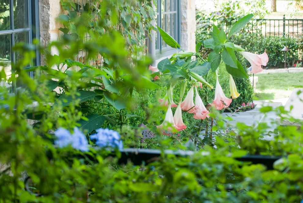 Wanderback Design - Photo 7