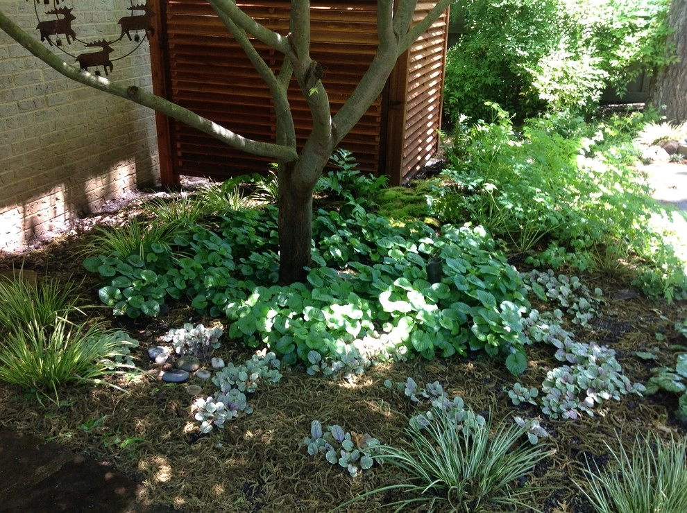 North Dallas organic installation by Wanderback Design by Wanderback Design - Photo 8