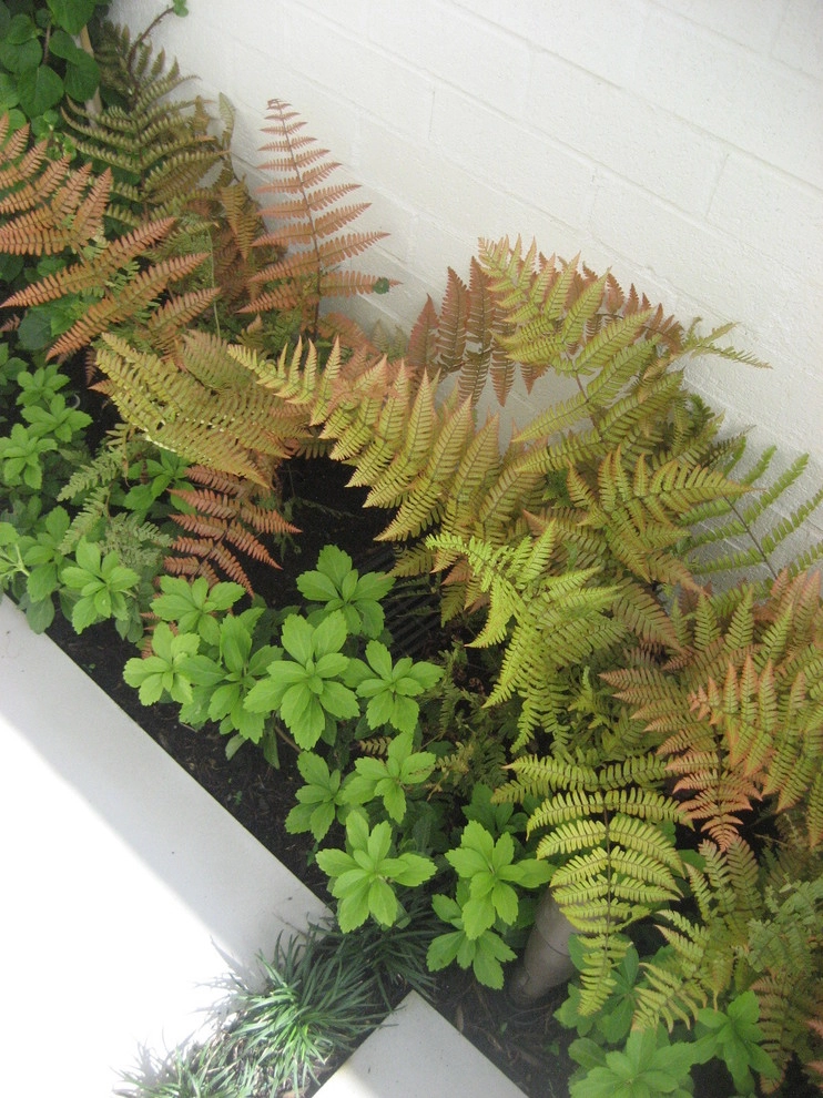 (1) Crisp Contemporary by Wantland Ink Landscape Architecture, PLLC - Photo 5