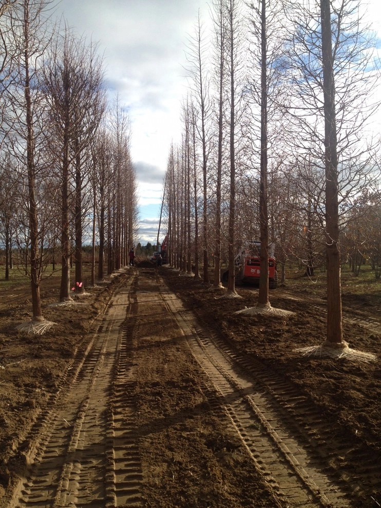 Custom Landscape Designs by Warren's Nursery - Photo 13