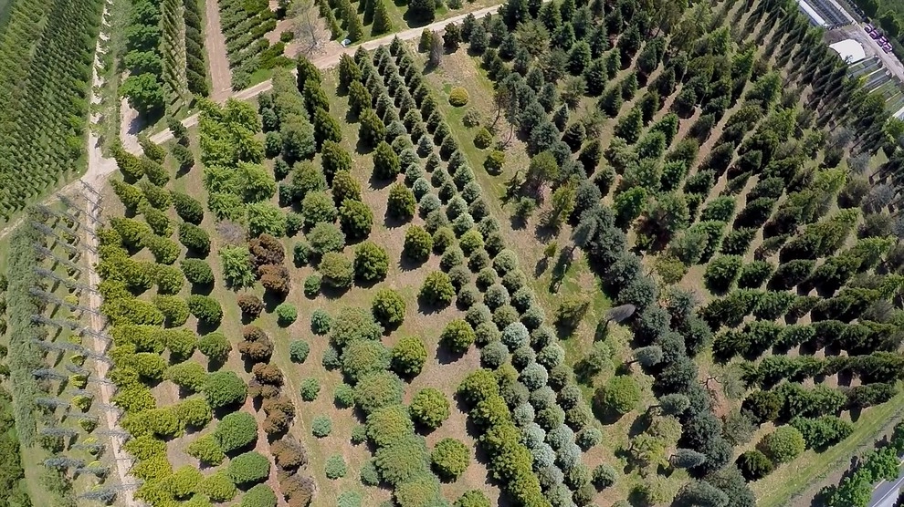 Southampton Farm by Warren's Nursery - Photo 22