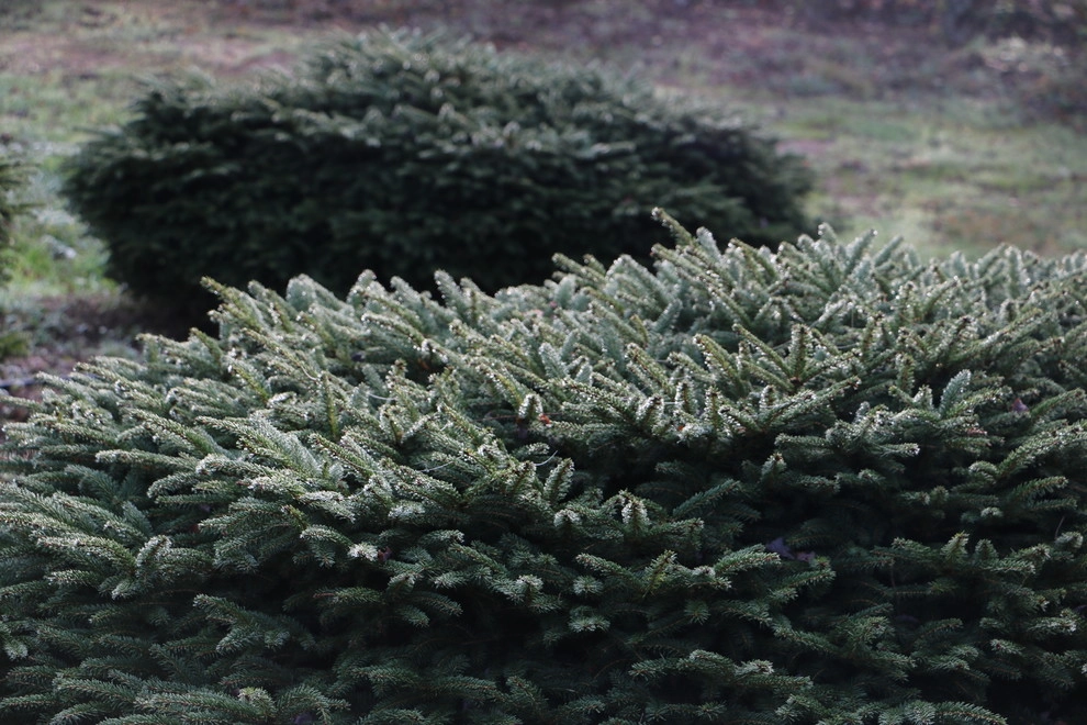 Southampton Farm by Warren's Nursery - Photo 5