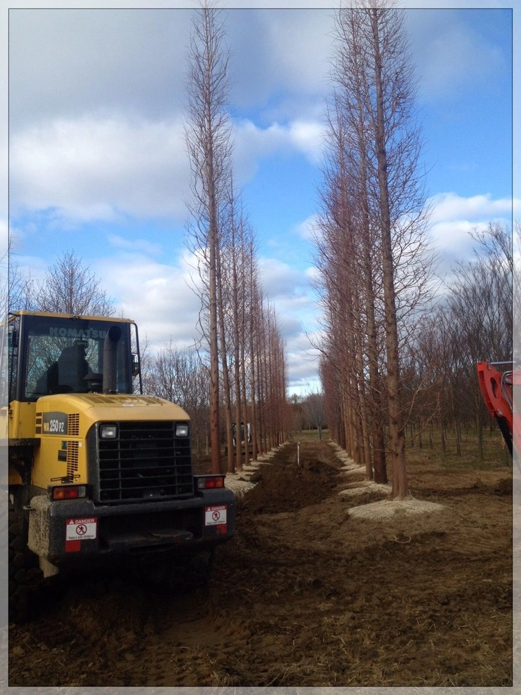 Equipment by Warren's Nursery - Photo 2