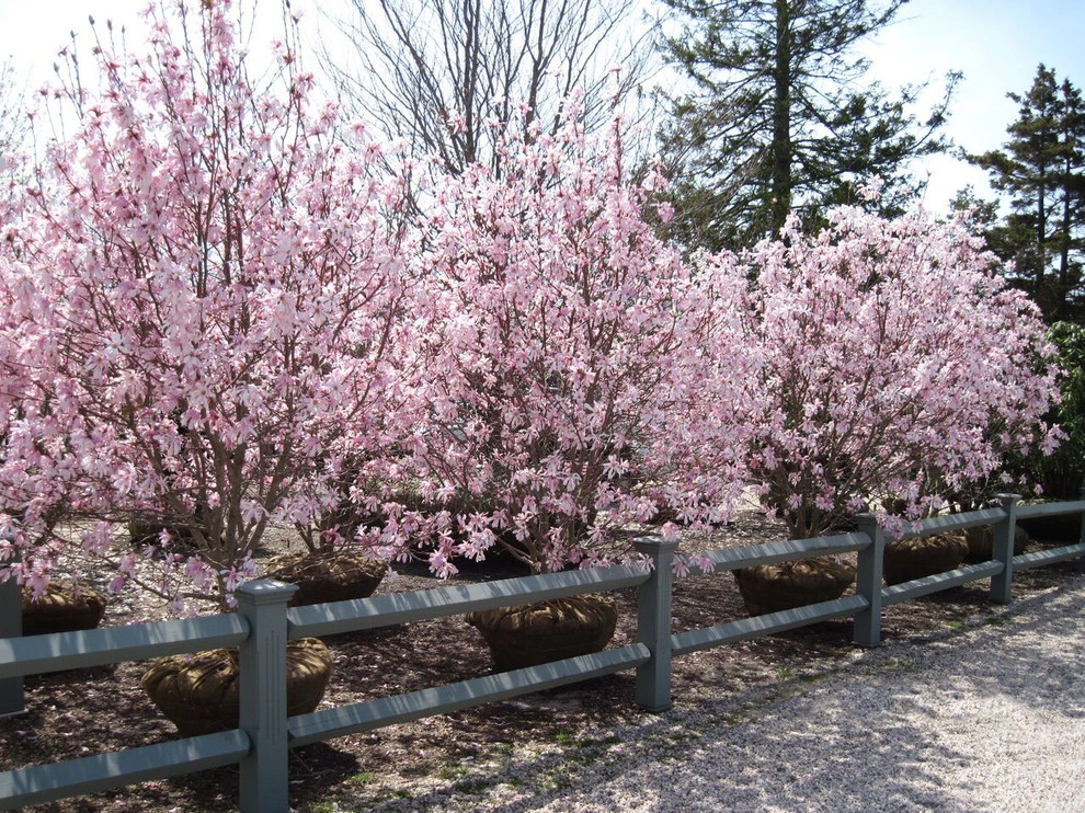Corporate Headquarters, Water Mill by Warren's Nursery - Photo 16