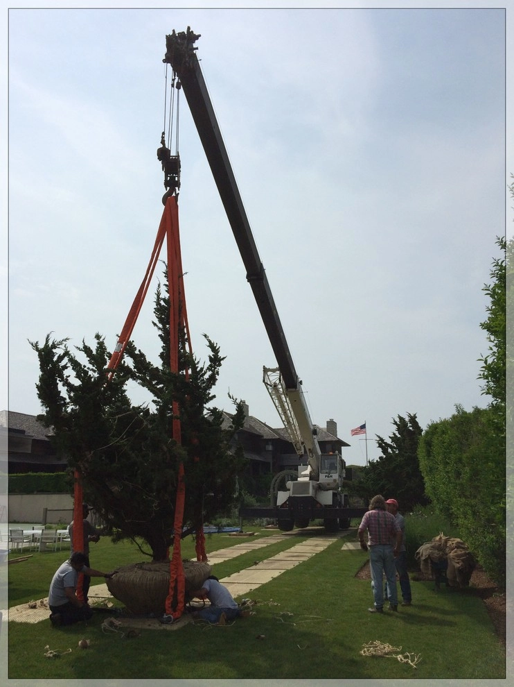 Installation by Warren's Nursery - Photo 5