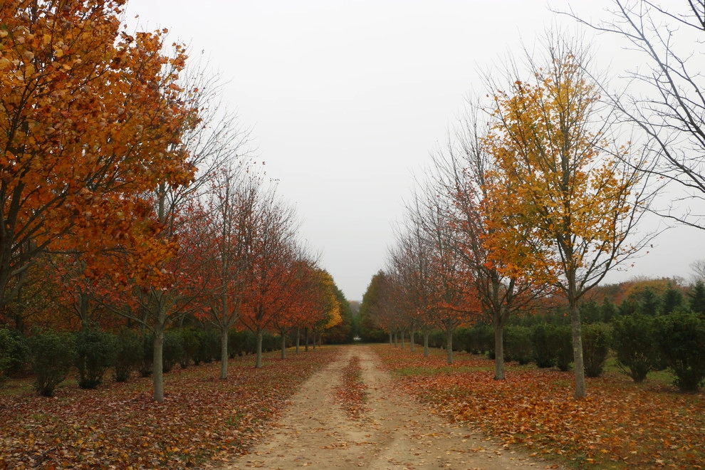 Southampton Farm by Warren's Nursery - Photo 23