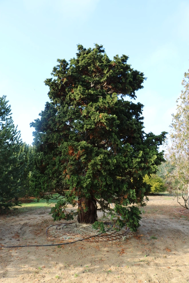 Southampton Farm by Warren's Nursery - Photo 11