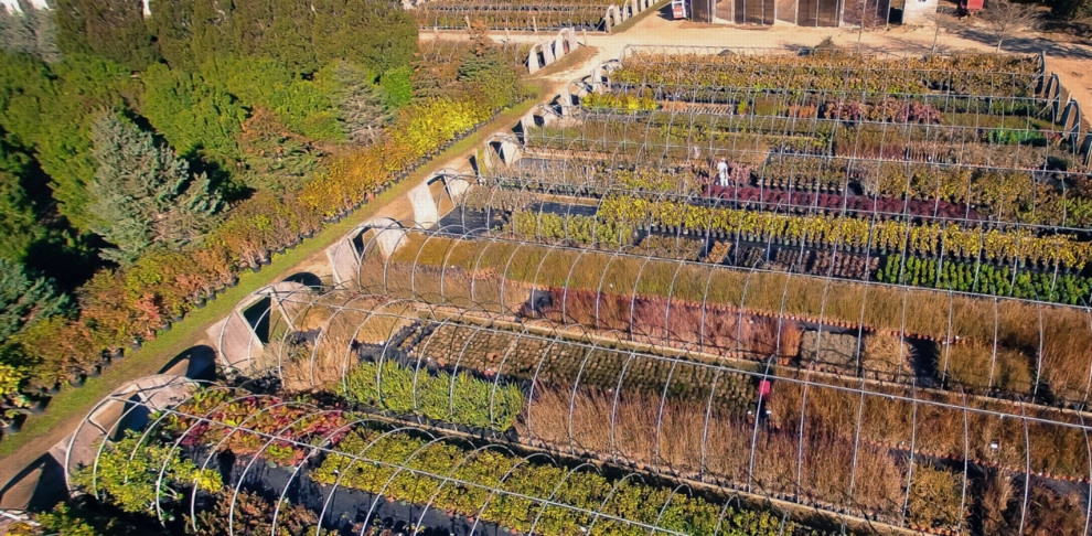 Southampton Farm by Warren's Nursery - Photo 2