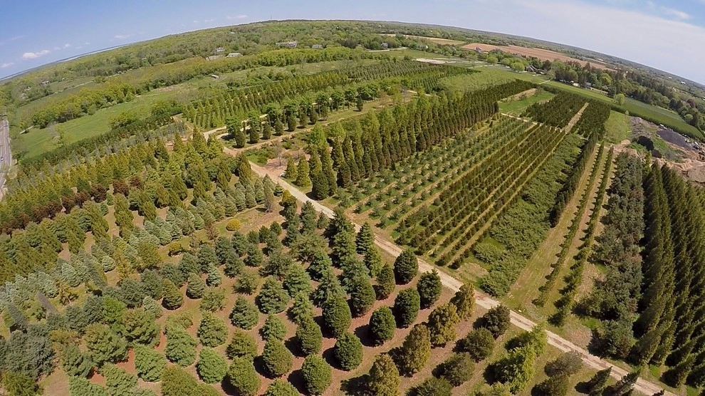Southampton Farm by Warren's Nursery - Photo 13