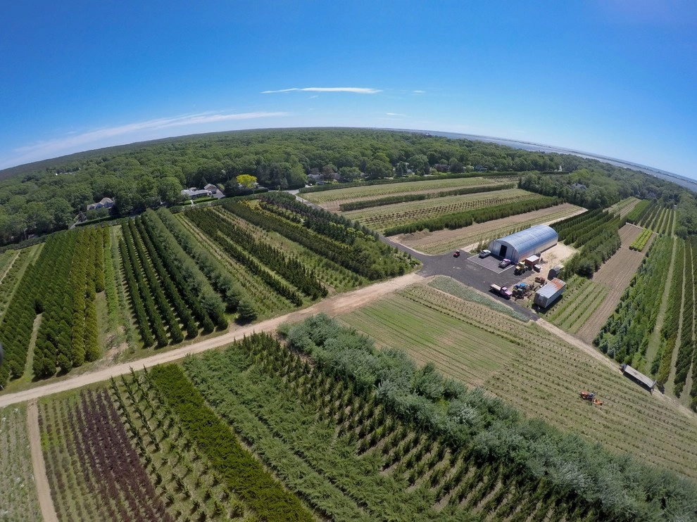 East Quogue Farm by Warren's Nursery - Photo 4