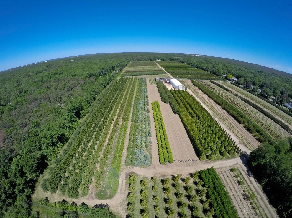 East Quogue Farm by Warren's Nursery - Photo 6