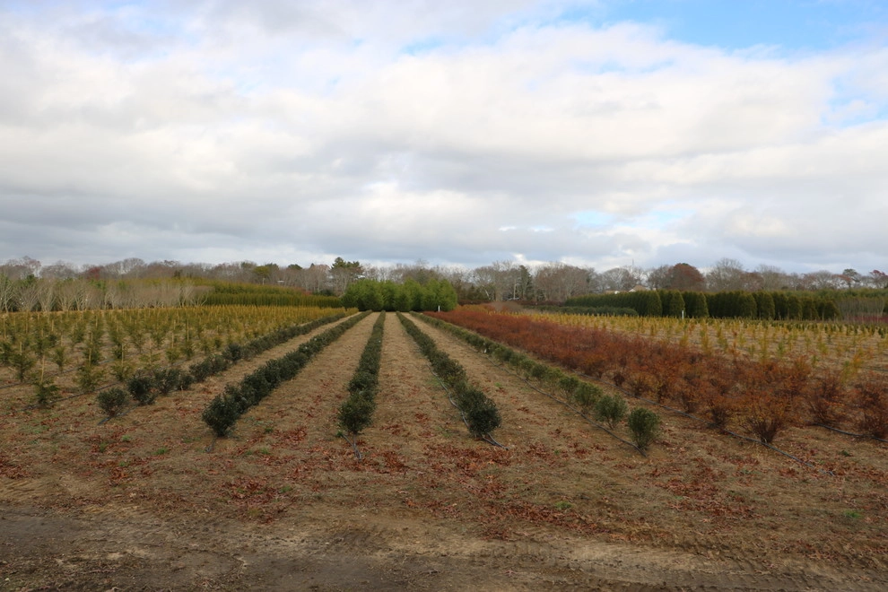 East Quogue Farm by Warren's Nursery - Photo 7