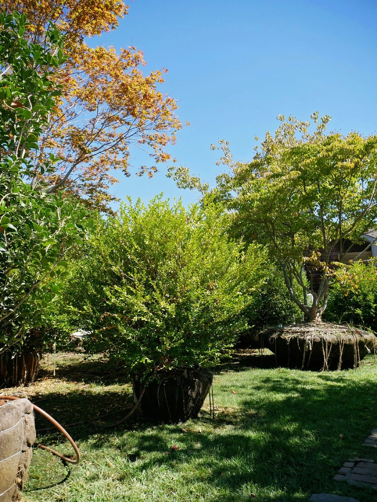 Warren's Nursery - Photo 6
