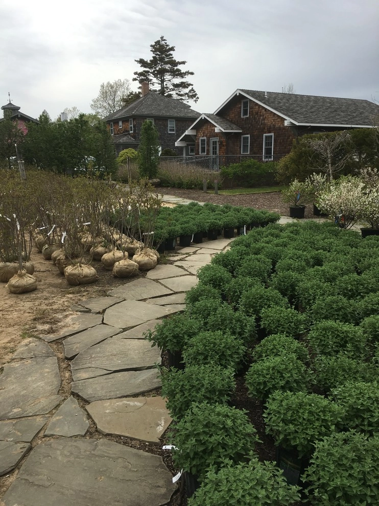 Corporate Headquarters, Water Mill by Warren's Nursery - Photo 3
