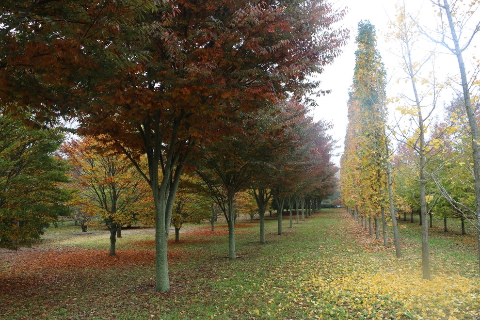 Southampton Farm by Warren's Nursery - Photo 6