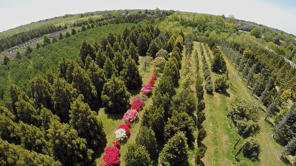 Southampton Farm by Warren's Nursery - Photo 3