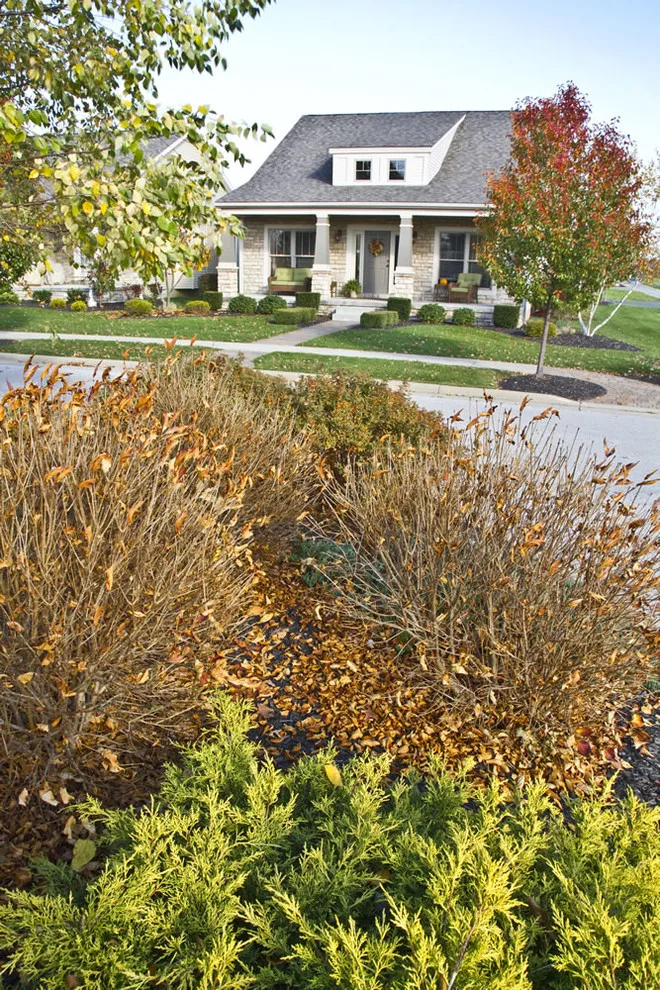 Carriage Homes Community for Sale by Master Plan Builders & Master Plan Design - Photo 15