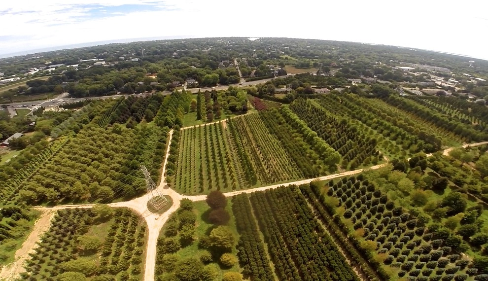 Southampton Farm by Warren's Nursery - Photo 21