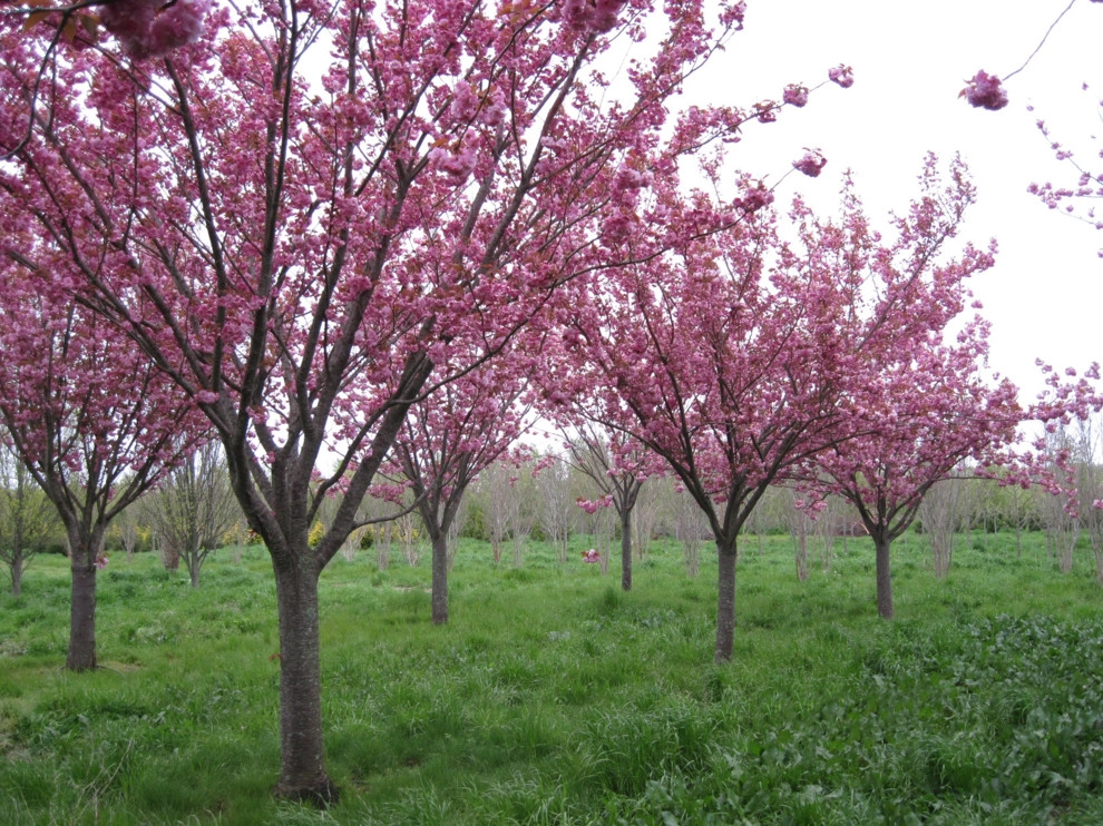 Southampton Farm by Warren's Nursery - Photo 10