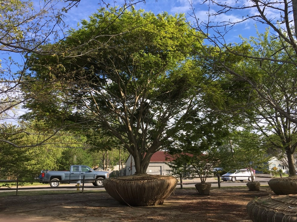 Corporate Headquarters, Water Mill by Warren's Nursery - Photo 12