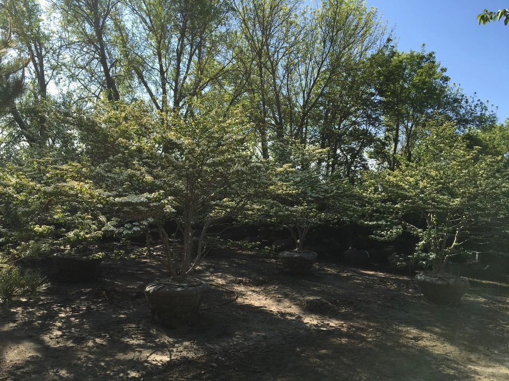 Corporate Headquarters, Water Mill by Warren's Nursery - Photo 15