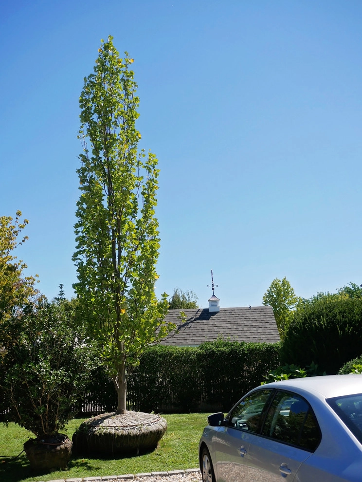 Corporate Headquarters, Water Mill by Warren's Nursery - Photo 25