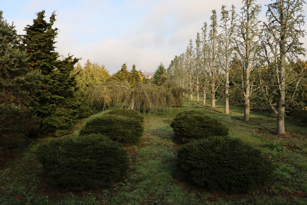 Southampton Farm by Warren's Nursery - Photo 18