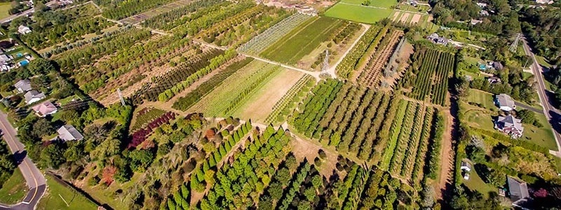 Southampton Farm by Warren's Nursery - Photo 19