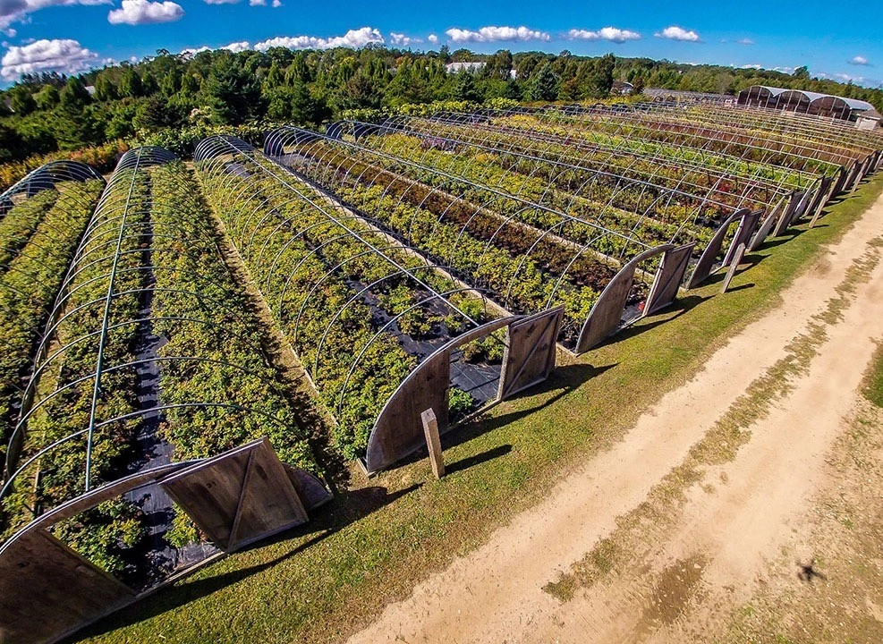 Southampton Farm by Warren's Nursery - Photo 4