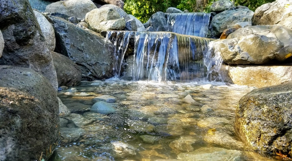 Waterfall Pond Supply - Photo 7