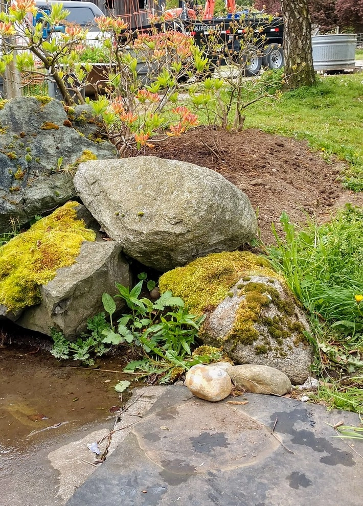 Our Portfolio by Waterfall Pond Supply - Photo 24