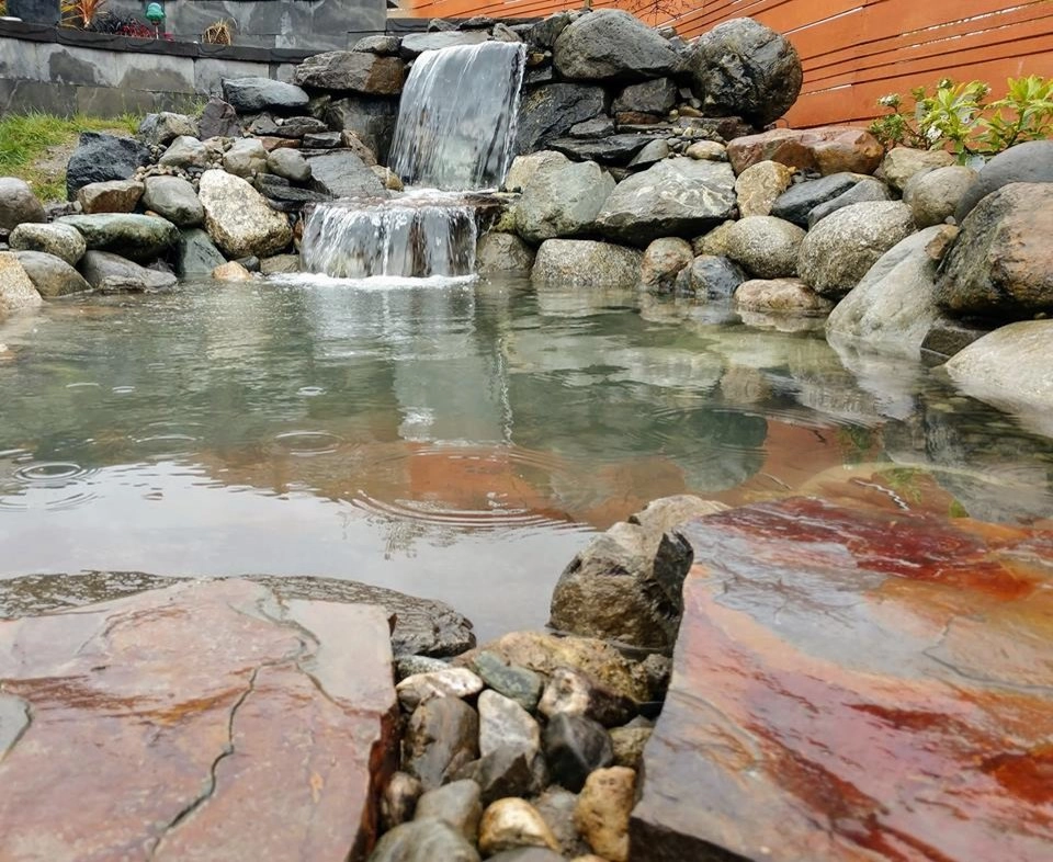 Our Portfolio by Waterfall Pond Supply - Photo 22