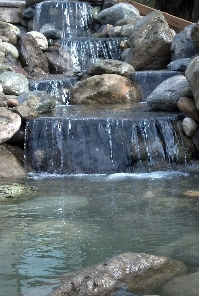 Waterfall Pond Supply - Photo 2