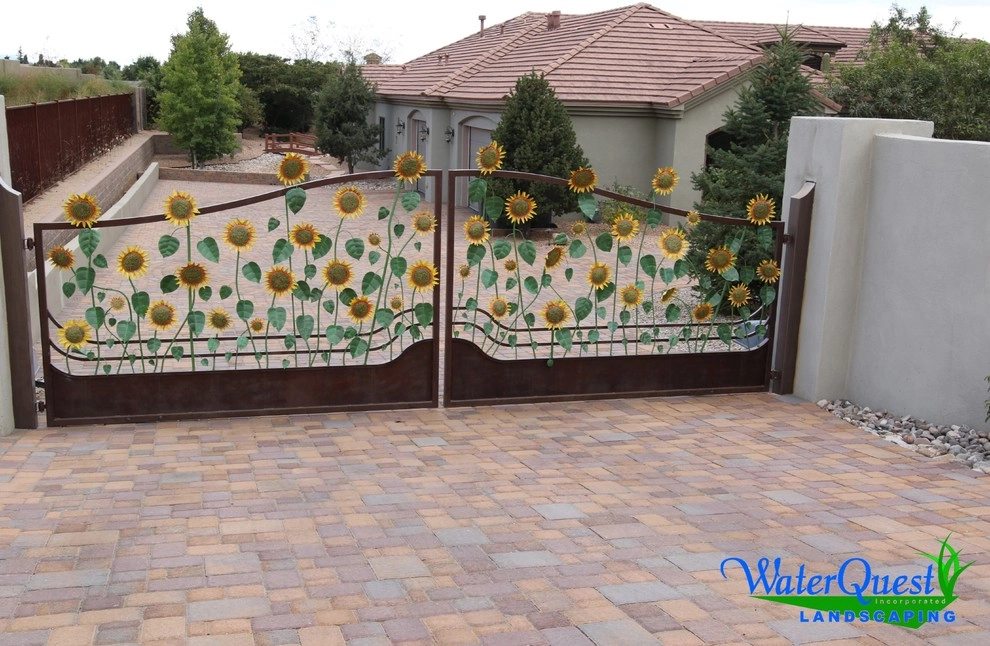 Coming up Daisies by WaterQuest Landscaping - Photo 2