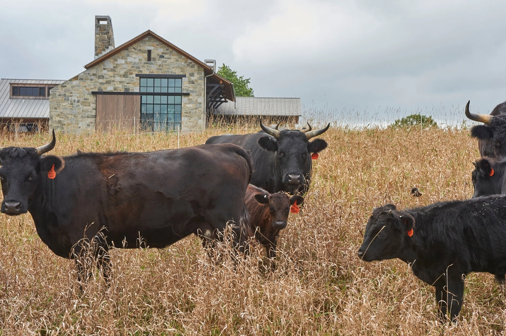 Q Farms by Wesley Stout Associates - Photo 10