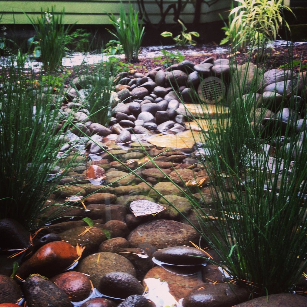 Rain Gardens by Wheel & Barrow Landscape Design & Maintenance - Photo 3