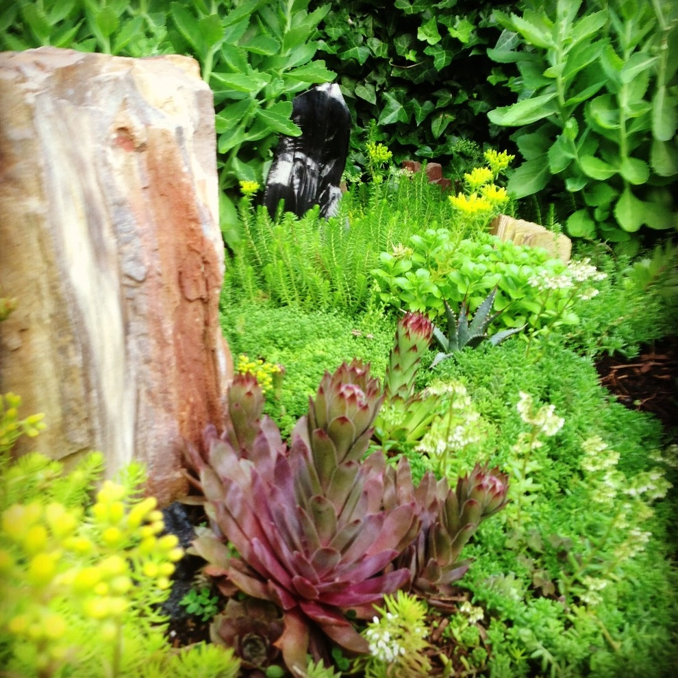 St Johns - The Alma Ave by Wheel & Barrow Landscape Design & Maintenance - Photo 20