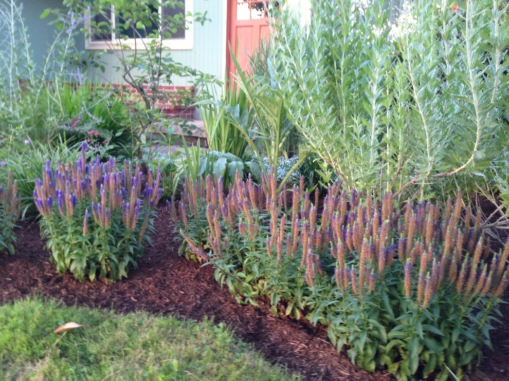 St Johns - The Alma Ave by Wheel & Barrow Landscape Design & Maintenance - Photo 6