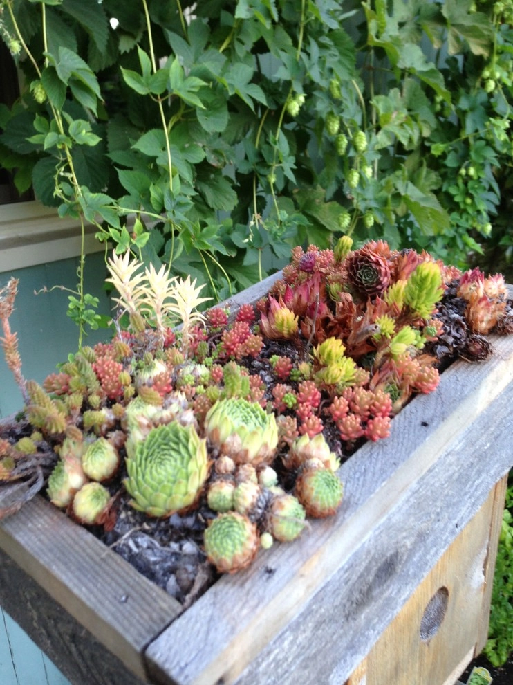 Wheel & Barrow Landscape Design & Maintenance - Photo 8