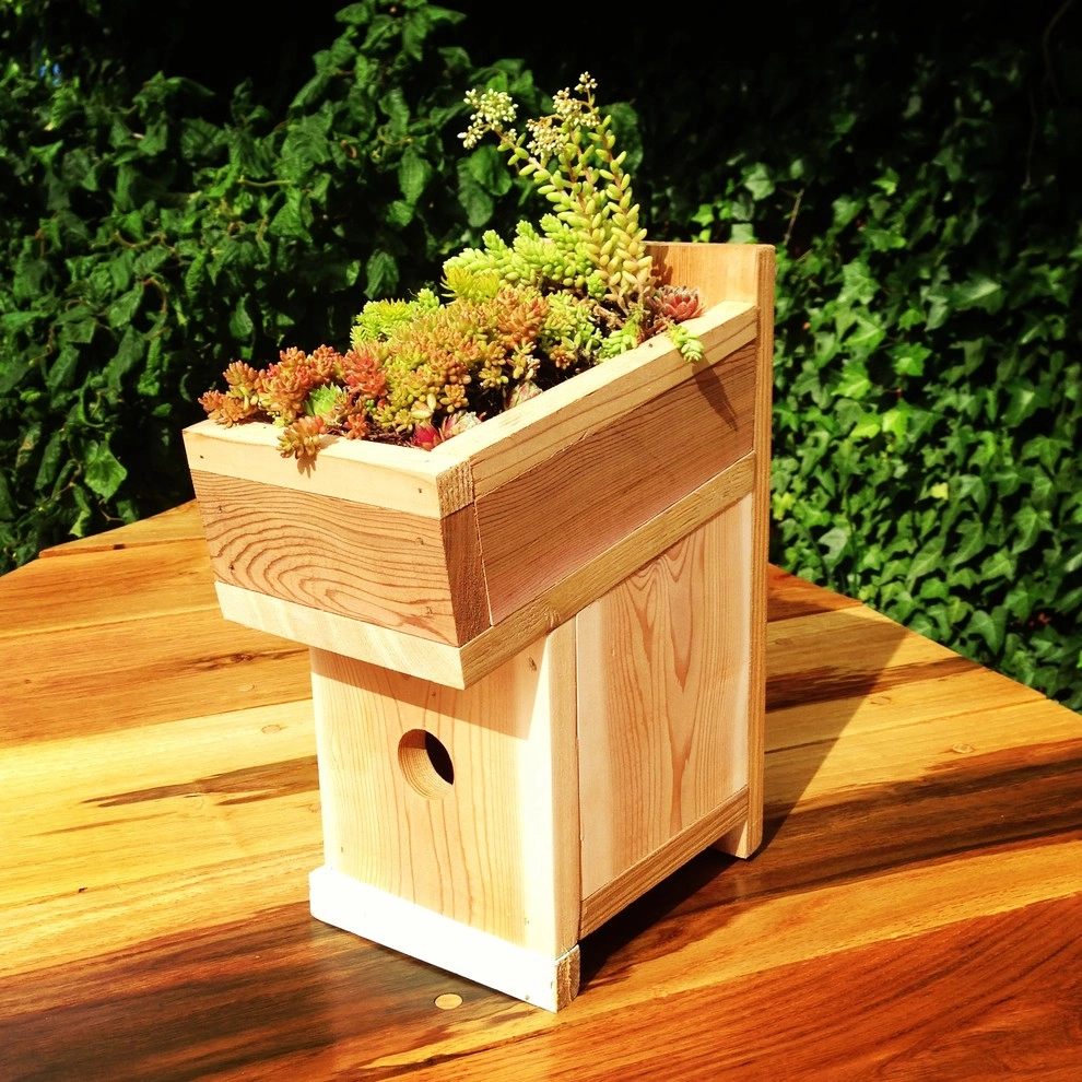 Green Roof Birdhouse by Wheel & Barrow Landscape Design & Maintenance - Photo 10