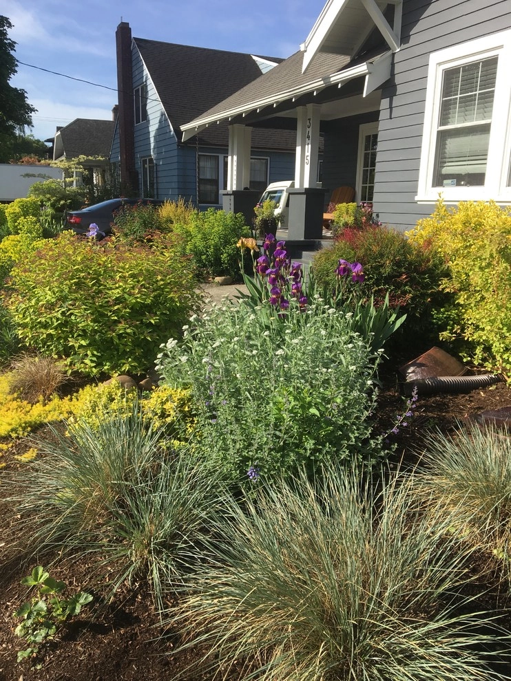 Gardens Maintained by Wheel & Barrow Landscape by Wheel & Barrow Landscape Design & Maintenance - Photo 11