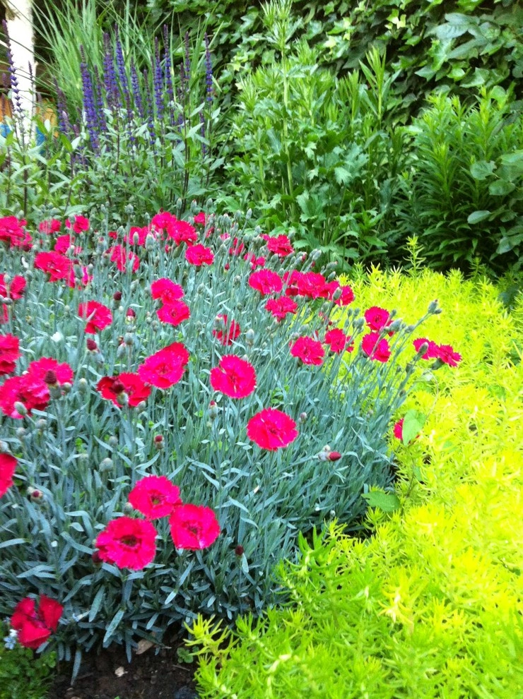 Perennial Gardens by Wheel & Barrow Landscape Design & Maintenance - Photo 6