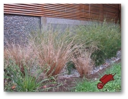 Wheel & Barrow Landscape Design & Maintenance - Photo 11