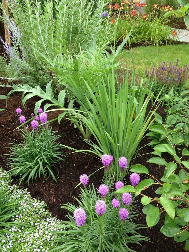 St Johns - The Alma Ave by Wheel & Barrow Landscape Design & Maintenance - Photo 12